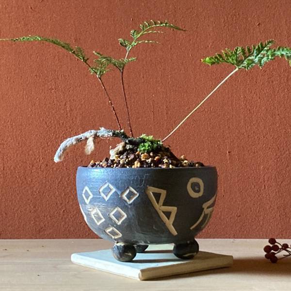 【大磯うつわの日inYOKOHAMA】ニュウマン横浜６階2416MARKETにて開催【期間：9月20日(水）～10月1日（日）】