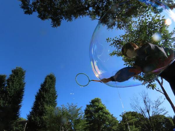 【小金井公園】9/10（日）開催！「コココの日」