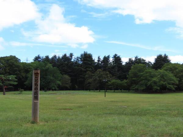 【小金井公園】9/10（日）開催！「コココの日」