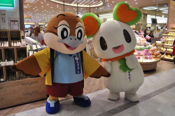 ライフ300店舗目となる「セントラルスクエアららぽーと門真店」がついにオープン！～対面販売やオリジナル商品が充実でお買い物の楽しさをお届け～