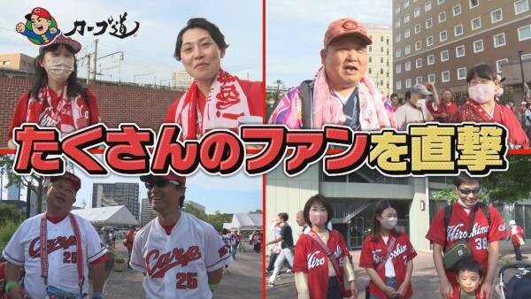 【カープ道】『ファンのお宅、ついて行ってイイですか？』８月16日（水）深夜放送　広島ホームテレビ