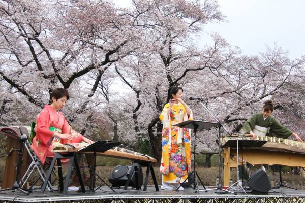 神代植物公園　「早春の催し」２月上旬頃～４月上旬開催！