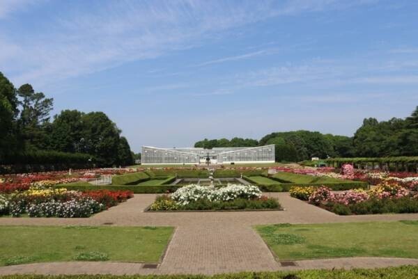 神代植物公園　「早春の催し」２月上旬頃～４月上旬開催！