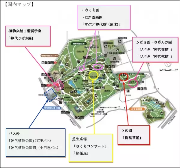 神代植物公園　「早春の催し」２月上旬頃～４月上旬開催！