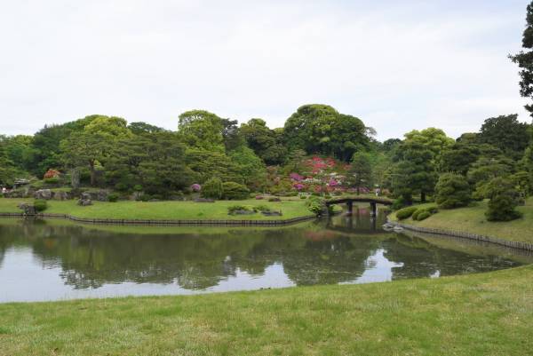 【六義園】つつじが見ごろです