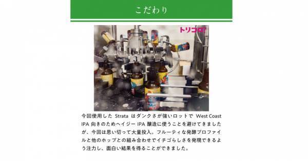 【三重県・ISEKADO】3種のホップが彩るベリー濃厚ヘイジー『トリコロ！』を数量限定発売