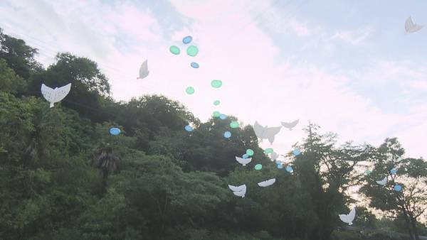 【広島ホームテレビ】ピタニュー拡大SP　西日本豪雨５年「だから前へ」