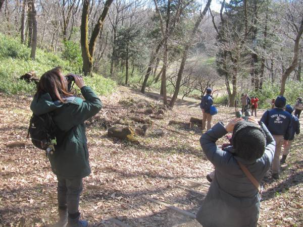 桜ヶ丘公園　「野鳥観察会」　2月4日（土）開催