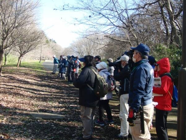 桜ヶ丘公園　「野鳥観察会」　2月4日（土）開催