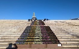11/17スタート！【花と光のムーブメント】駒沢オリンピック公園で「ファンタジー」をテーマにライトアップイベントを開催！