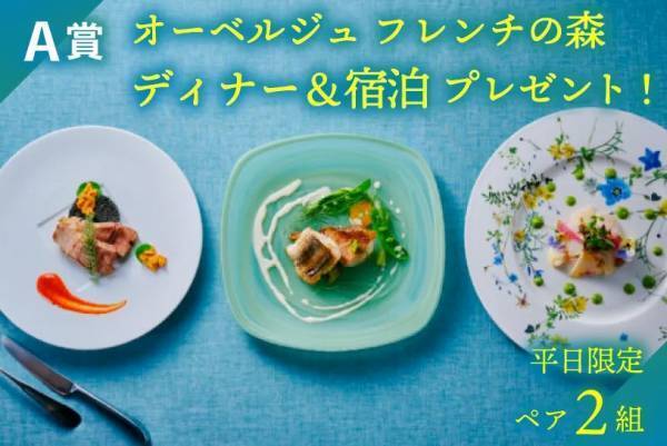 「オールデイ淡路島西海岸 プレゼントキャンペーン」６月27日まで開催