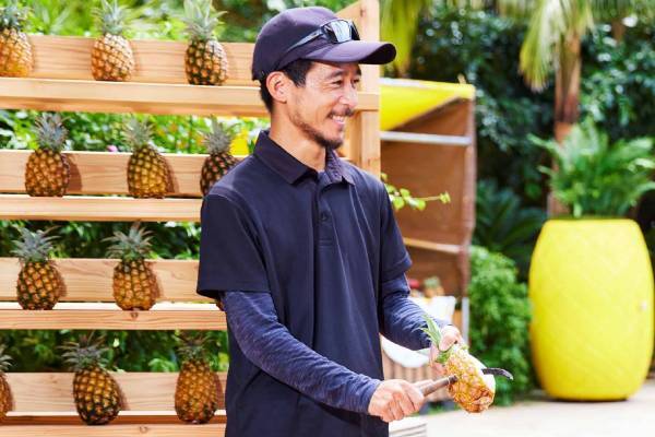 【西表島ホテル】桃の香りがするピーチパインをとことん楽しむ 「春のピーチパイン祭り」開催～農家さんによるSHOWやパインの秘密を知るコンテンツが盛りだくさん｜～期間：2023 年4月25日～6月15日