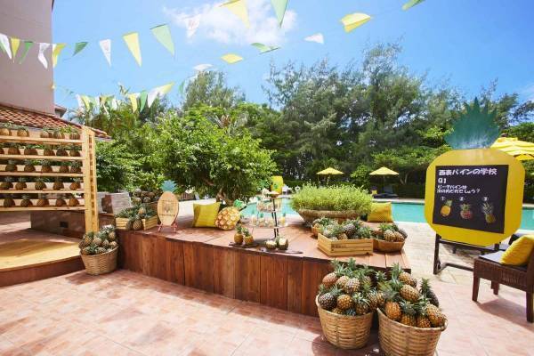 【西表島ホテル】桃の香りがするピーチパインをとことん楽しむ 「春のピーチパイン祭り」開催～農家さんによるSHOWやパインの秘密を知るコンテンツが盛りだくさん｜～期間：2023 年4月25日～6月15日