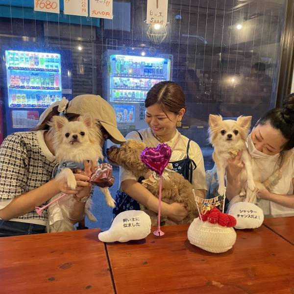 東京・中目黒【新たなペットのナイトスポット誕生】「BAR水曜日」がオープン