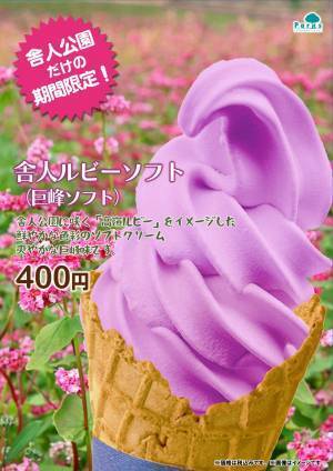 【舎人公園】「赤そば花壇」を設置します