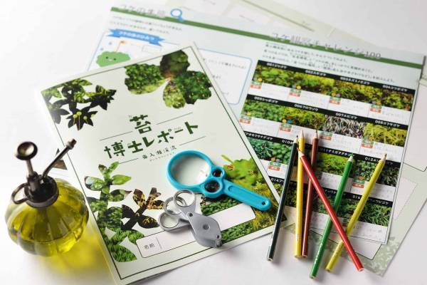 【奥入瀬渓流ホテル】国立公園で50種類の苔を探し出す自由研究プログラム「奥入瀬コケ博士」を実施 ～本物の苔に触れながら、オリジナルの「コケ博士レポート」を作成～｜提供期間：2023年7月20日～8月31日