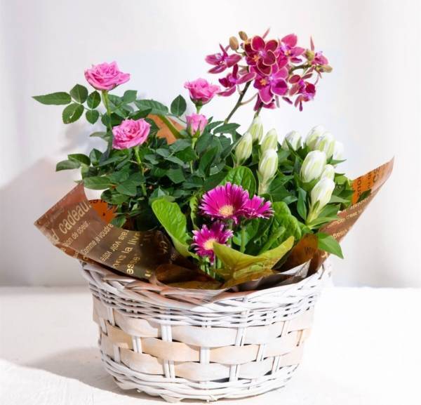 花まつが贈るHappyカラフルな【敬老の日＆オータムフラワーギフト2023】予約受付中！