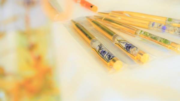 大阪国際大学「鹿野ちゃれっじ」鳥取市長からの感謝状の受領について宮本学長へご報告