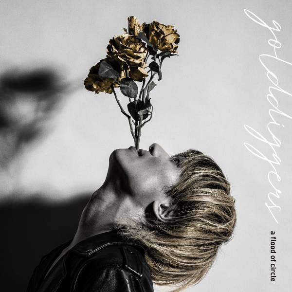 a flood of circle、3年振りとなる『A FLOOD OF CIRCUS 2024』全4公演の開催決定！