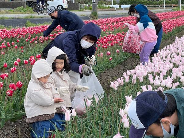 県内８カ所！30万輪のチューリップで描く『TOYAMA SMILE FLOWER CARPET 2023』今年も開催！