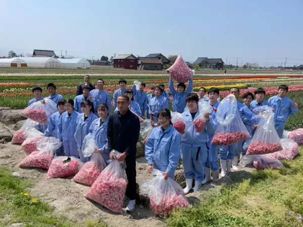 県内８カ所！30万輪のチューリップで描く『TOYAMA SMILE FLOWER CARPET 2023』今年も開催！