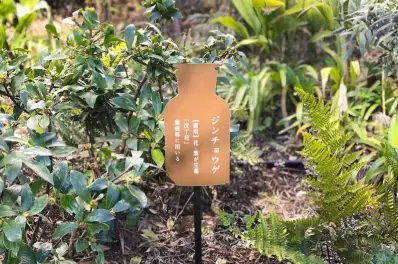 「蓄積した創薬技術を活かし、独創的な製品開発に挑む製薬企業」の企業情報を2023年2月7日HPに公開しました。