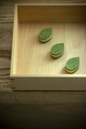 【星のや東京】暦にあわせて季節を愉しむ「八十八夜の新茶体験」提供｜2023 年 5 月 1 日~5 日