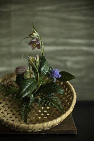 【星のや東京】暦にあわせて季節を愉しむ「八十八夜の新茶体験」提供｜2023 年 5 月 1 日~5 日