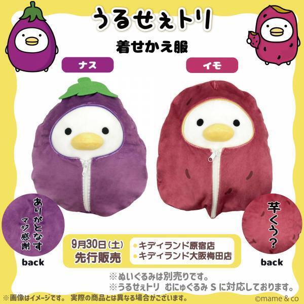 LINEスタンプで人気の「うるせぇトリ」の作者mame&coさんサイン会キデイランド原宿店初開催決定！