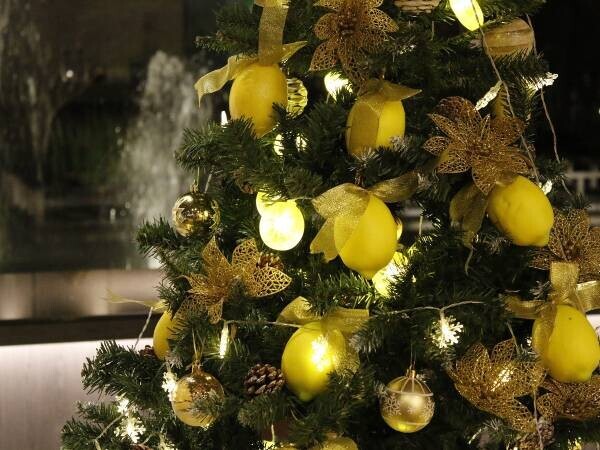 広島・竹原の温泉旅館にてクリスマスプラン販売 　＜2023年12月26日まで＞毎年恒例のレモンクリスマスツリーも登場！