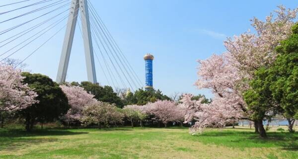 biid（ビード）【大阪 2023年春のおすすめスポット】大阪北港マリーナにて、2023年3月25日（土）より期間限定「お花見キャンペーン」を開始します！