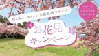 biid（ビード）【大阪 2023年春のおすすめスポット】大阪北港マリーナにて、2023年3月25日（土）より期間限定「お花見キャンペーン」を開始します！