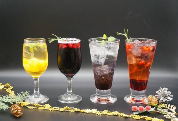 ～ クリスマスシーズン到来！この時期だけのミシガンクルーズを楽しもう！ ～ 『ミシガン・クリスマスフェア』