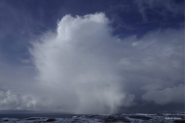 スコットランドのトラディショナル音楽ｘ日本の能の協働作品　『「Rona島の詩」on 能舞台』　カンフェティでチケット発売