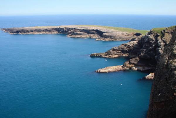 スコットランドのトラディショナル音楽ｘ日本の能の協働作品　『「Rona島の詩」on 能舞台』　カンフェティでチケット発売