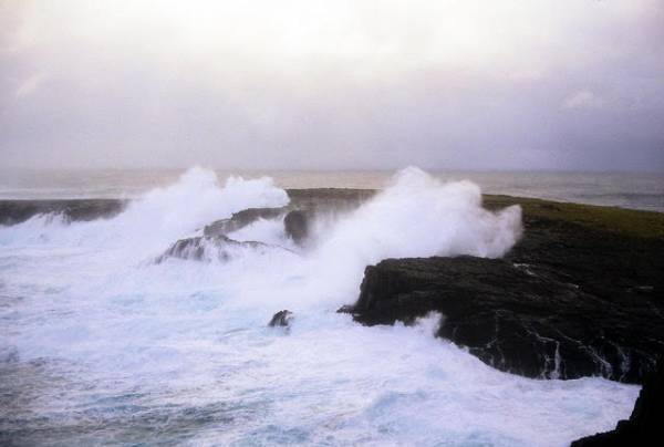 スコットランドのトラディショナル音楽ｘ日本の能の協働作品　『「Rona島の詩」on 能舞台』　カンフェティでチケット発売
