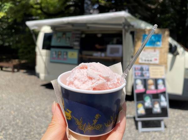 【旧古河庭園】春バラの二番花が見頃になりました！！