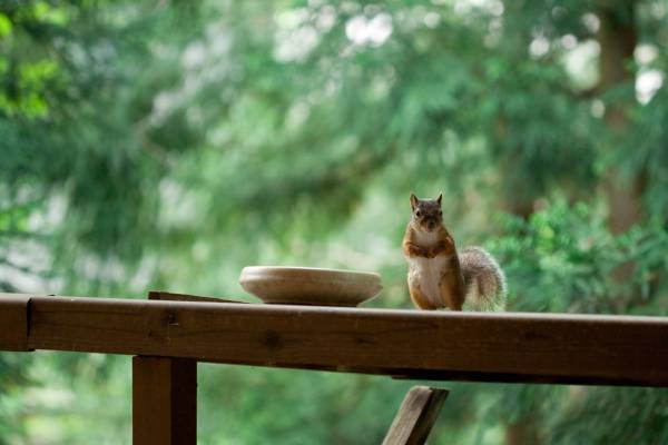 【宮城県・一の坊リゾート】3つの温泉リゾートが2年連続TOP10にランクイン！「【東北】Relux Of The Year2022」受賞