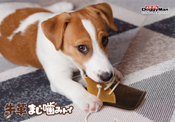 野生の匂い＋弾力のある噛み心地で愛犬を魅了する天然素材の「牛革トイ」シリーズ新発売！