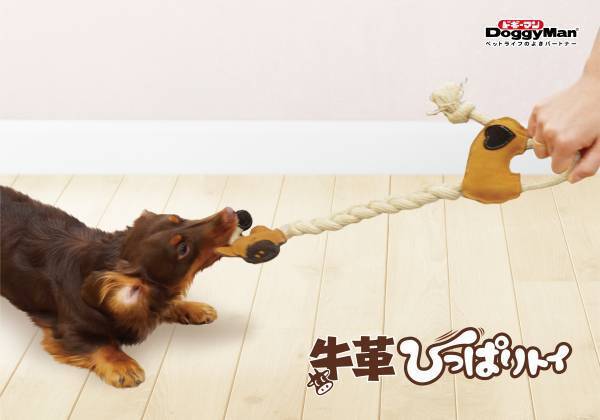 野生の匂い＋弾力のある噛み心地で愛犬を魅了する天然素材の「牛革トイ」シリーズ新発売！