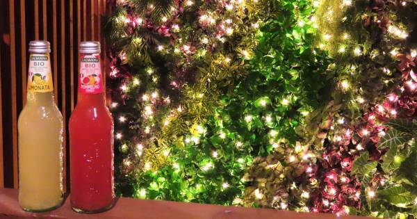 クリスマス・年末はクルージングで素敵な思い出を。ちょっとヨットビーチマリーナにて無料乗船体験を実施中！