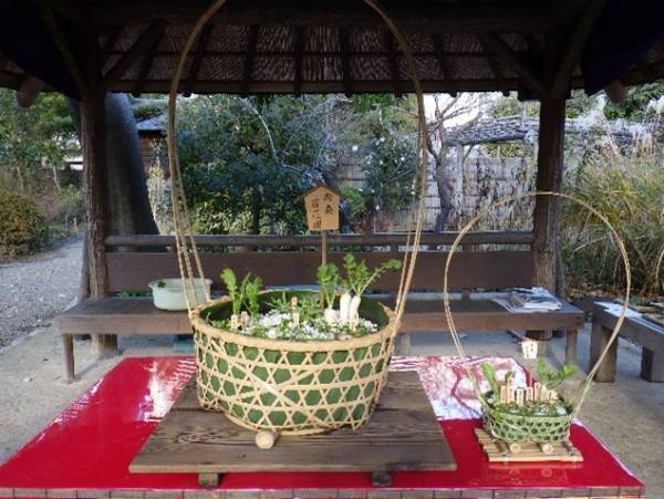 向島百花園「春の七草」の催しを開催します！