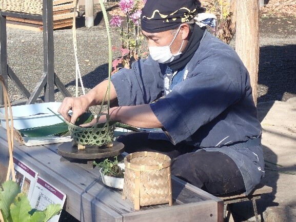 向島百花園「春の七草」の催しを開催します！