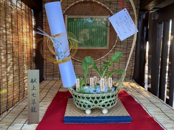 向島百花園「春の七草」の催しを開催します！