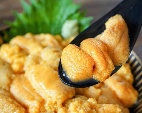 ＼８月９日(水)は送料無料！／ウニやお寿司、牛タンなど絶品グルメをお得にお取り寄せ！【旅する久世福e商店】