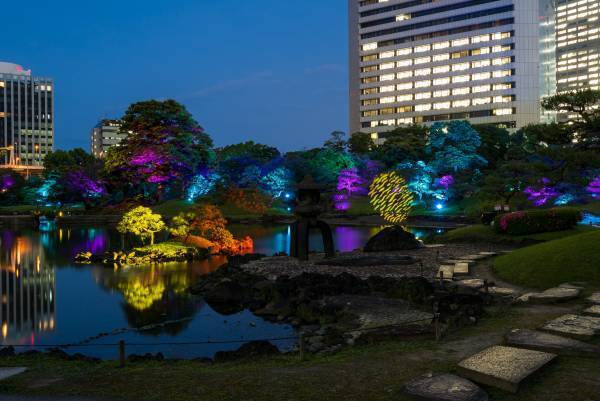 【旧芝離宮恩賜庭園】ライトアップイベント「旧芝離宮夜会～かぜひかる～」5/24～27 開催