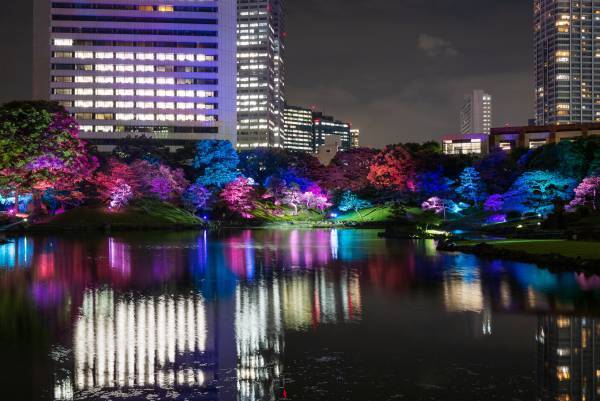 【旧芝離宮恩賜庭園】ライトアップイベント「旧芝離宮夜会～かぜひかる～」5/24～27 開催