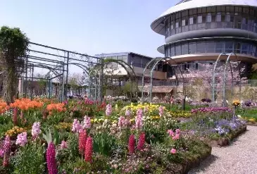 春の比叡山スペシャルイベントのご案内