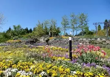 春の比叡山スペシャルイベントのご案内