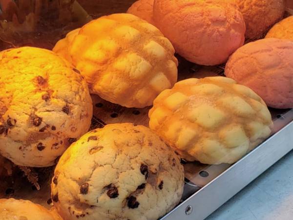 春の比叡山スペシャルイベントのご案内